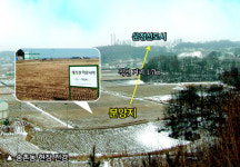 [분양 하이라이트] 해뜨락 / 파주 해가찬 아로니아 농장