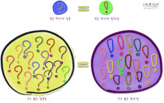 질문이 여러 가지면, 창의성도 여러 가지