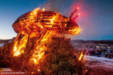 북아메리카의 숲을 초토화시키는 소나무좀