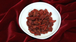 [오늘의 MBN] 영생의 묘약, 불로장생 나무