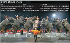 점보도 가고, 예술 서커스도 가고…세월이 야속해