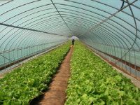 에이스경암, 北 사리원시에 영농물자 지원