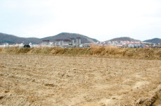 [분양 단신] 파주 아로니아 농장