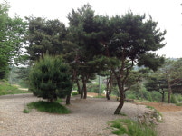 캠퍼들의 엉덩이가 들썩거리는 캠핑의 계절이 찾아왔다