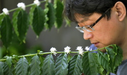 인류 DNA에 새겨놓은 위대한 유산 ‘커피의 꽃향’