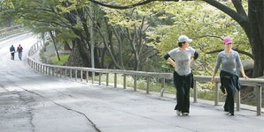 [Health & Life] 걷기의 건강학, 잘하면 藥 잘못하면 毒