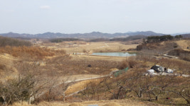 넥센타이어 유치한 창녕 vs 한국타이어 내쫓은 상주