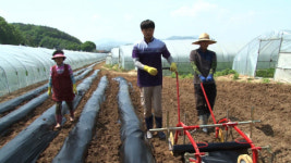 [오늘의 MBN] 호랑이 어머니와 두 아들