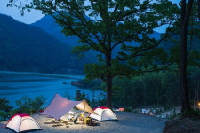 관관농원이자 오토캠핑장, 마로니에 숲 캠핑장