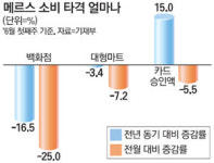 골든위크 꿀맛도 잠깐…동탄 대형마트 매출 43% 추락