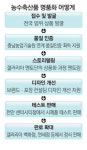 지역 특산물 백화점서 날개편다