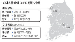 LGD, 파주·구미 올레드 생산체제 구축