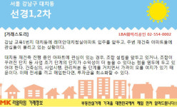 [실시간 현장리포트]개포주공에 이어 대치 선경아파트까지… 강남 재건축 시장 ‘활활’