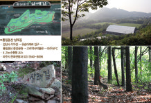 [CEO 걷기 프로젝트] 수풀 우거진 길 따라 흠뻑 취한 여름 정취… 경기도 파주 통일동산 살래길