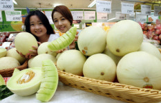 [포토] 벌꿀향 나는 허니듀멜론