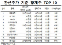환산주가로 비교한 진정한 황제주 찾아보니 ‘제일모직’