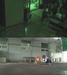 동물농장 똘이, 화재로 탄 집 주인아저씨와 재회 `뭉클`