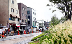 부활한 `경의선 숲길`… 텅빈 `신촌역사`