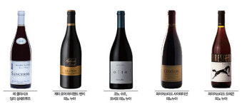 가을에는 어떤 와인이 좋을까 “더위에 지친 몸·마음 피노 누아로 힐링”