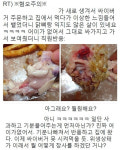 SNS서 맘스터치 패티 논란...소비자-점주 공방 진실은?