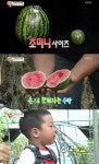 서언·서준, 애플 수박 보고 허겁지겁 폭풍 먹방