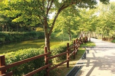 지긋지긋한 명절 살 ‘극뽁’…‘여심 저격’ 도심 운동코스