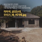 [카드뉴스] 2500명의 디자이너가 제주에서 할 수 있는 일?