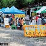 로컬이 말하는 여행 안내서…가을에 더 깊어지는 제주 구도심여행