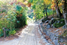 내 마음을 만나러 가는 길…순천 조계산 송광사
