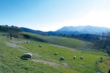 히치하이커 ‘발트’를 따라나선 강원도…자동차 안에서 당신과 나의 삶