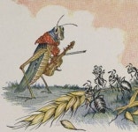 [김인수 기자의 사람이니까 경영이다] 우리 마음 속 개미와 베짱이와 싸움: 오승환은 왜 도박에 빠졌고, 부장으로 승진하면 왜 사람이 변할까?