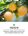 [카드뉴스] 미세먼지엔 삼겹살? 전혀 효과 없어요