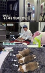 `개밥 주는 남자` 주병진, 개 찾으려면 한참 걸리는 200평대 집