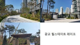 [실시간 거래]식을 줄 모르는 인기, 광교신도시 內 호수 조망 오피스텔…`광교힐스테이트레이크`