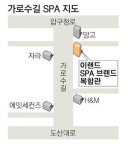 글로벌SPA 격전지 가로수길에 깃발 꽂은 이랜드