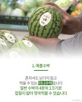 `1인가구를 잡아라` 눈길 끄는 스몰사이즈 푸드 6
