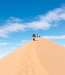 [트래블라운지] `봄나라`로 가거나 `사막`으로 떠나거나