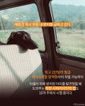 [카드뉴스]아이가 타고 있어요 뒷차보다 내가 주목해야 할 말