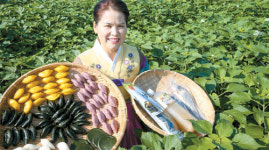[남도 대표 추석선물] 온가족 좋아하는 영광 모시 잎 송편