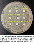 프로바이오틱 Pb-9 유산균, 황색포도상구균을 이기다