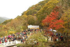만추(晩秋)… 단풍 감상하기에 으뜸인 ‘하동 회남재’