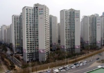 11.3 부동산 대책에도 여전히 문의 多, 강남구 도곡동 `도곡렉슬`아파트 현재 실거래가는?