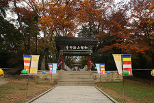 명산서 즐기는 문화재 산책 - 경남 합천② 가야산