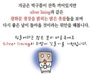상황이 아무리 힘들고 어려워도 실버라이닝을 찾아보세요!