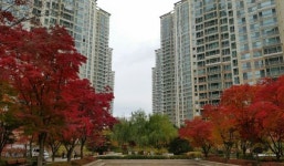 입지 우수한 암사동 `강동롯데캐슬퍼스트`아파트, 전세 실거래가는?