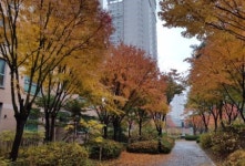 반포동 랜드마크 `반포자이`아파트, 부동산 대책 발표 이후에도 거래 꾸준