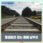[카드뉴스] 기찻길 따라 걷는 새해 여행지, 동해남부선 해안 철길
