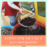 [카드뉴스] 성게 미식 여행 -  강원도 고성 ‘초도리’
