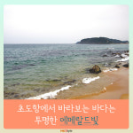 [카드뉴스] 성게 미식 여행 -  강원도 고성 ‘초도리’
