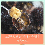 [카드뉴스] 성게 미식 여행 -  강원도 고성 ‘초도리’
